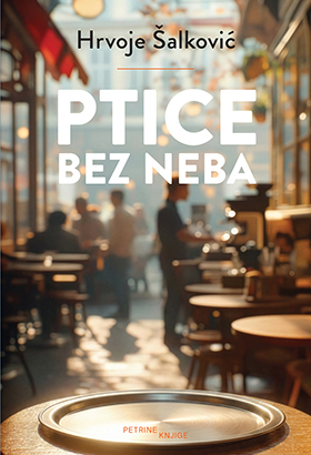 Ptice bez neba